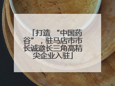打造 “中国药谷”，驻马店市市长诚邀长三角高精尖企业入驻