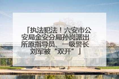 执法犯法！六安市公安局金安分局孙岗派出所原指导员、一级警长刘军被“双开”