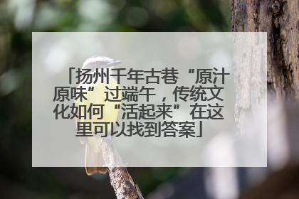 扬州千年古巷“原汁原味”过端午，传统文化如何“活起来”在这里可以找到答案