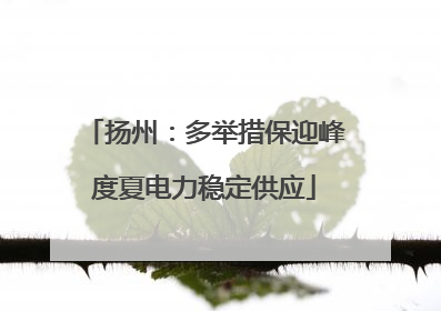 扬州：多举措保迎峰度夏电力稳定供应
