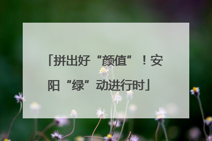 拼出好“颜值”！安阳“绿”动进行时