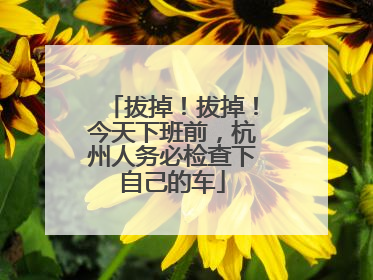 拔掉！拔掉！今天下班前，杭州人务必检查下自己的车