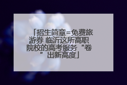 招生简章=免费旅游券 临沂这所高职院校的高考服务“卷”出新高度
