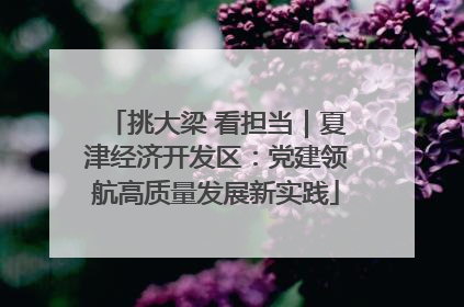 挑大梁 看担当｜夏津经济开发区：党建领航高质量发展新实践