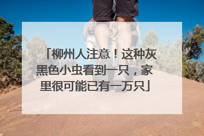 柳州人注意！这种灰黑色小虫看到一只，家里很可能已有一万只