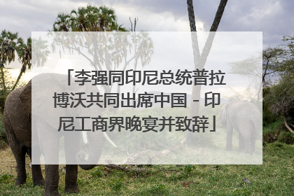李强同印尼总统普拉博沃共同出席中国－印尼工商界晚宴并致辞