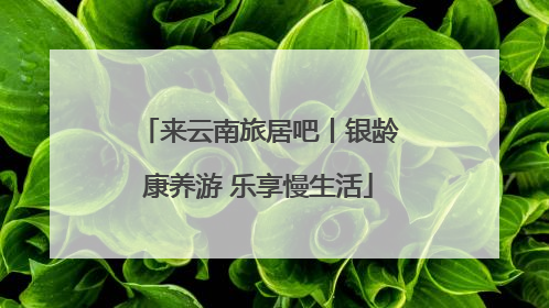 来云南旅居吧丨银龄康养游 乐享慢生活