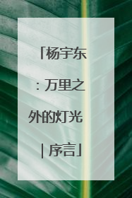 杨宇东：万里之外的灯光｜序言