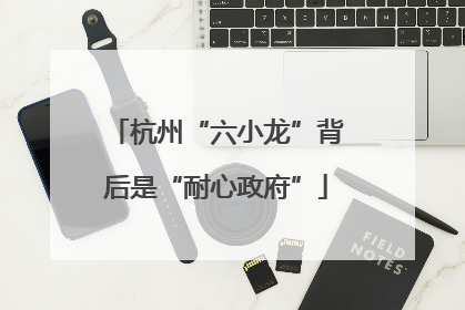 杭州“六小龙”背后是“耐心政府”