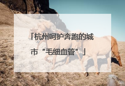 杭州呵护奔跑的城市“毛细血管”