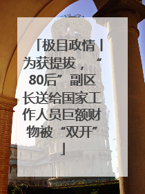 极目政情丨为获提拔，“80后”副区长送给国家工作人员巨额财物被“双开”