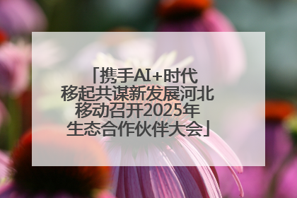 携手AI+时代 移起共谋新发展河北移动召开2025年生态合作伙伴大会