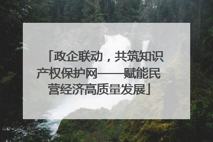 政企联动，共筑知识产权保护网——赋能民营经济高质量发展
