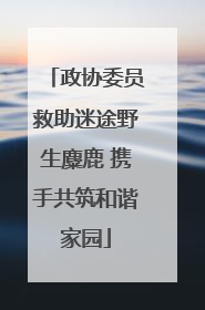 政协委员救助迷途野生麋鹿 携手共筑和谐家园