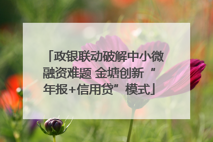政银联动破解中小微融资难题 金塘创新“年报+信用贷”模式