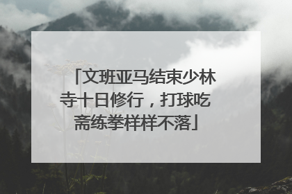 文班亚马结束少林寺十日修行，打球吃斋练拳样样不落