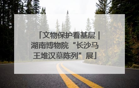 文物保护看基层｜湖南博物院“长沙马王堆汉墓陈列”展