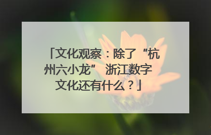 文化观察：除了“杭州六小龙” 浙江数字文化还有什么？