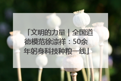 文明的力量｜全国道德模范徐淙祥：50余年躬身科技种粮一线