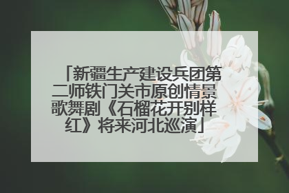 新疆生产建设兵团第二师铁门关市原创情景歌舞剧《石榴花开别样红》将来河北巡演