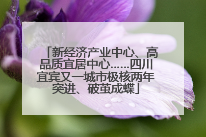 新经济产业中心、高品质宜居中心……四川宜宾又一城市极核两年突进、破茧成蝶