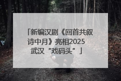 新编汉剧《回首共叙诗中月》亮相2025武汉“戏码头”