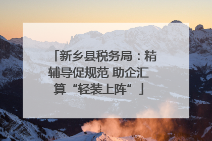 新乡县税务局：精辅导促规范 助企汇算“轻装上阵”