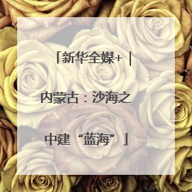 新华全媒+｜内蒙古：沙海之中建“蓝海”