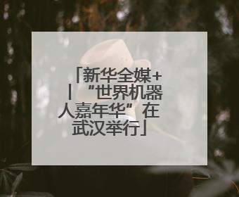 新华全媒+丨“世界机器人嘉年华”在武汉举行