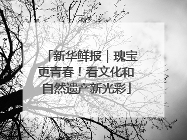 新华鲜报｜瑰宝更青春！看文化和自然遗产新光彩