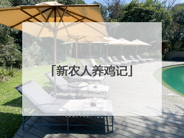 新农人养鸡记