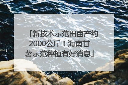 新技术示范田亩产约2000公斤！海南甘薯示范种植有好消息