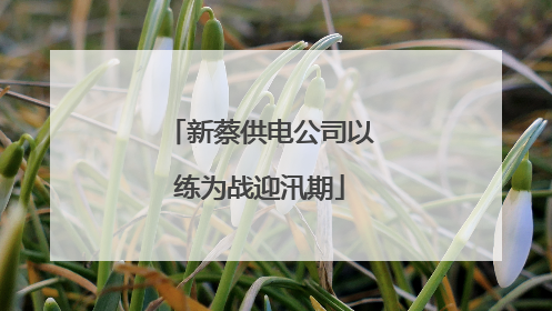 新蔡供电公司以练为战迎汛期