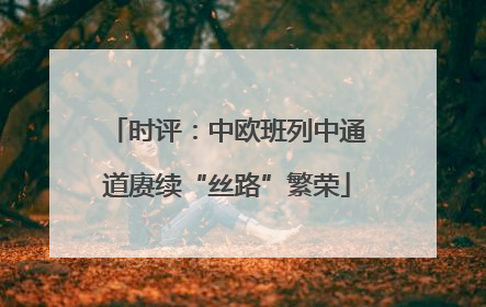 时评：中欧班列中通道赓续“丝路”繁荣