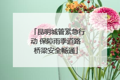 昆明城管紧急行动 保障雨季道路桥梁安全畅通