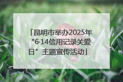 昆明市举办2025年“6·14信用记录关爱日”主题宣传活动