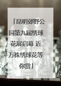 昆明郊野公园第九届绣球花展启幕 近万株绣球花等你赏