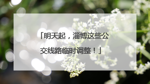 明天起，淄博这些公交线路临时调整！