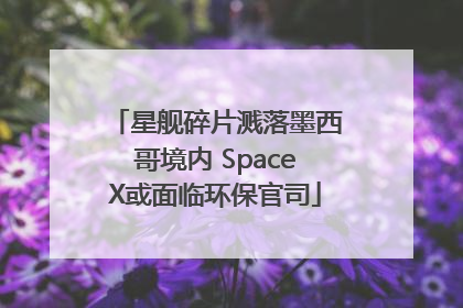 星舰碎片溅落墨西哥境内 SpaceX或面临环保官司