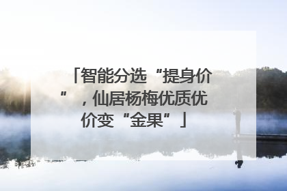 智能分选“提身价”，仙居杨梅优质优价变“金果”