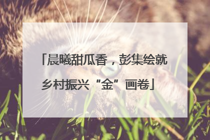 晨曦甜瓜香，彭集绘就乡村振兴“金”画卷