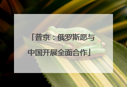 普京：俄罗斯愿与中国开展全面合作