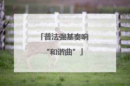 普法强基奏响“和谐曲”