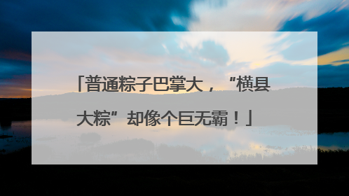 普通粽子巴掌大，“横县大粽”却像个巨无霸！