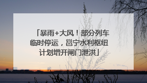 暴雨+大风！部分列车临时停运，邕宁水利枢纽计划增开闸门泄洪