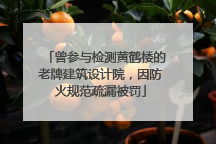 曾参与检测黄鹤楼的老牌建筑设计院，因防火规范疏漏被罚