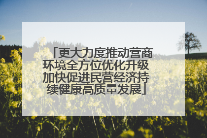 更大力度推动营商环境全方位优化升级加快促进民营经济持续健康高质量发展