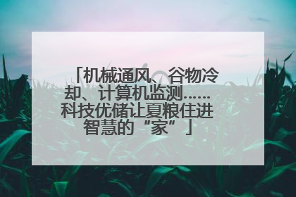 机械通风、谷物冷却、计算机监测……科技优储让夏粮住进智慧的“家”