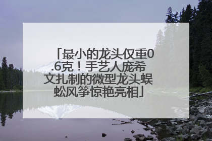 最小的龙头仅重0.6克！手艺人庞希文扎制的微型龙头蜈蚣风筝惊艳亮相