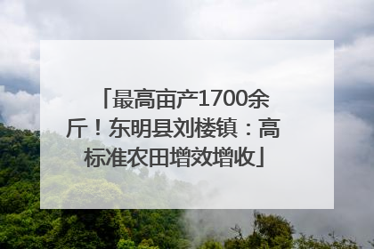 最高亩产1700余斤！东明县刘楼镇：高标准农田增效增收